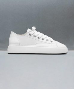 Northsage.shop1327f7a8ad 4