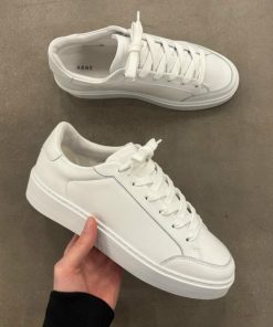 Northsage.shopb9fce709e5 5