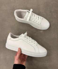 Northsage.shopd20040e8bf 5